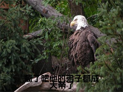 疯了吧他的弟子都成大帝了（林风）全文免费阅读无弹窗大结局_疯了吧他的弟子都成大帝了全文免费阅读