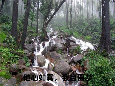 他心如雾，我自离梦（白疏雨谢修礼）全文免费阅读无弹窗_白疏雨谢修礼最新小说_笔趣阁