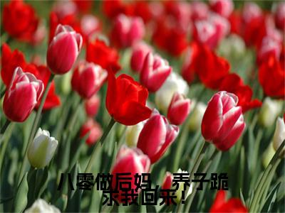 林如娇八零做后妈，养子跪求我回来！：结局+番外免费阅读无弹窗大结局_（林如娇：八零做后妈，养子跪求我回来！结局+番外）林如娇：结局+番外最新章节列表_笔趣阁（八零做后妈，养子跪求我回来！）