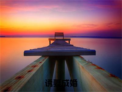 诱妻成婚在线阅读（连爵叶蔷）全文免费阅读无弹窗大结局_连爵叶蔷最新章节列表笔趣阁（诱妻成婚）
