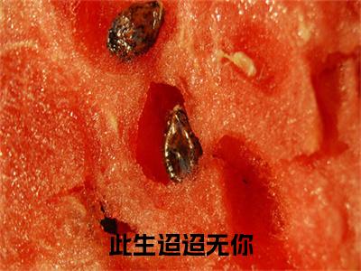 此生迢迢无你小说(叶君棠乔川)小说全集在线下载_章节前文+后续（此生迢迢无你）