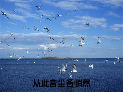 (番外)+(结局)顾瑾年姜九笙(从此音尘各悄然：结局+番外)全文免费阅读无弹窗大结局_(顾瑾年姜九笙)最新章节列表_笔趣阁(从此音尘各悄然：结局+番外)