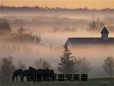 霸道首席毒宠美妻免费（戚芊芊蓝井）最新章节_霸道首席毒宠美妻免费全文阅读