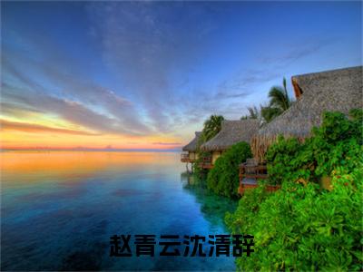 赵青云沈清辞：大结局+番外（沈清辞赵青云）最新章节列表_赵青云沈清辞（沈清辞赵青云）赵青云沈清辞：大结局+番外在线阅读