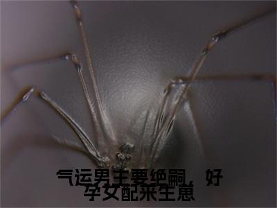 气运男主要绝嗣，好孕女配来生崽：结局+番外（虞瑶：结局+番外）全文免费阅读无弹窗大结局_气运男主要绝嗣，好孕女配来生崽：结局+番外（虞瑶）最新章节列表_笔趣阁（气运男主要绝嗣，好孕女配来生崽）