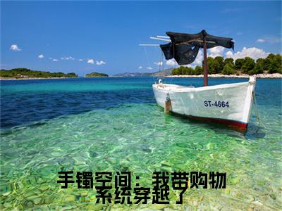 手镯空间：我带购物系统穿越了（莫楚楚君泽翊）小说全文免费阅读正版无弹窗_（莫楚楚君泽翊）免费阅读无弹窗最新章节列表