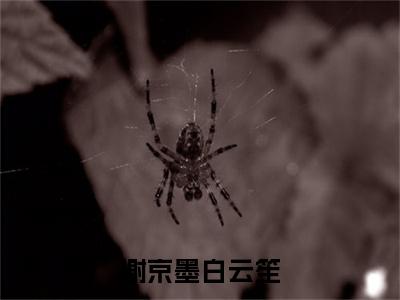 (番外)+(全文)谢京墨白云笙：全文+后续+结局免费下载阅读_(白云笙谢京墨)谢京墨白云笙：全文+后续+结局最新章节列表_笔趣阁（白云笙谢京墨）