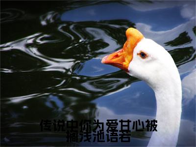 (番外)+(结局)传说中你为爱甘心被搁浅池语若（沈执聿池语若）完整全文在线阅读_(传说中你为爱甘心被搁浅池语若)最新章节列表_笔趣阁（沈执聿池语若）