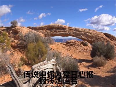 传说中你为爱甘心被搁浅池语若小说(传说中你为爱甘心被搁浅池语若)终章+番外（沈执聿池语若）一口气阅读
