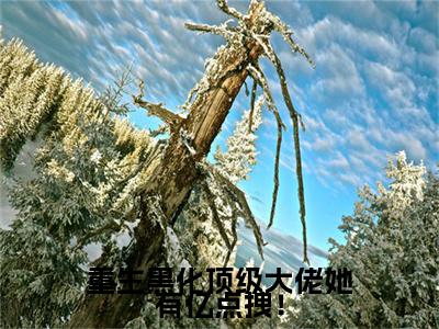 西瑾歌：结局+番外(重生黑化顶级大佬她有亿点拽！)全文免费阅读无弹窗大结局_(西瑾歌：结局+番外)最新章节列表_笔趣阁(重生黑化顶级大佬她有亿点拽！)