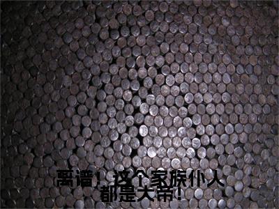 林枫免费阅读下载全章节_（离谱！这个家族仆人都是大帝！结局+番外）完结版全文小说林枫在线阅读