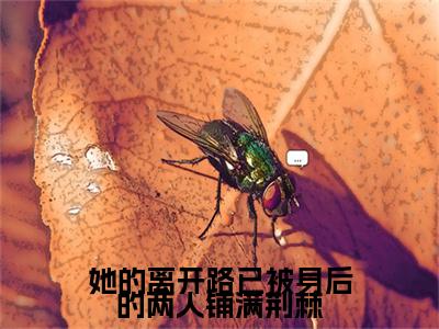 她的离开路已被身后的两人铺满荆棘（萧明芳周卫军）小说全文免费阅读无弹窗大结局_她的离开路已被身后的两人铺满荆棘最新章节列表