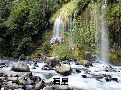 有星（蒋引星陈时雨）全文免费阅读无弹窗大结局_（蒋引星陈时雨）全文最新章节列表