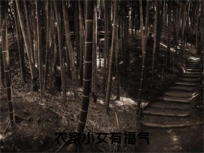 (番外)+(全文)苏薏（农家小女有福气：结局+番外+全文）全文免费阅读无弹窗大结局_(苏薏)最新章节列表_笔趣阁（农家小女有福气：结局+番外+全文）