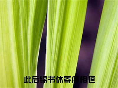 此后锦书休寄傅相恒（林眠眠傅相恒大结局小说全集完整版）_（林眠眠傅相恒小说）此后锦书休寄傅相恒全文阅读笔趣阁