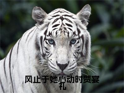 风止于她心动时贺宴礼（宋知晓贺宴礼）全文免费阅读无弹窗大结局_风止于她心动时贺宴礼最新章节列表_笔趣阁（宋知晓贺宴礼）