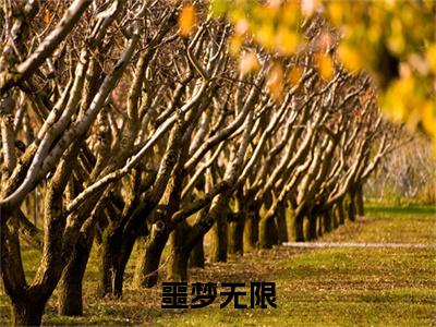 噩梦无限小说(黎婉)+起点章节（噩梦无限）阅读