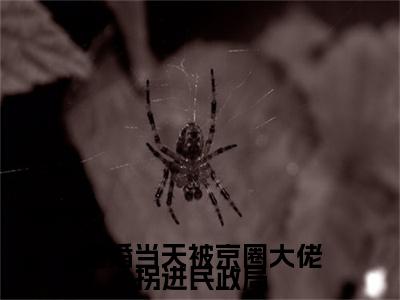 乔以棠谢承砚小说（退婚当天被京圈大佬拐进民政局：结局+番外）免费热文在线阅读无弹窗_乔以棠谢承砚最新章节阅读全文（退婚当天被京圈大佬拐进民政局：结局+番外）