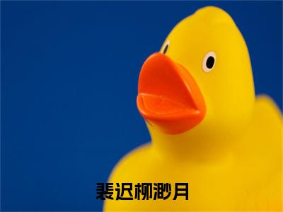 终章小说柳渺月裴迟完结篇(裴迟柳渺月)已更新+延伸（柳渺月裴迟）清爽版