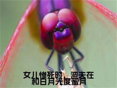 女儿惨死时，渣夫在和白月光度蜜月林妤汐江澈完结篇（林妤汐江澈）全篇免费版在线+无障碍结局