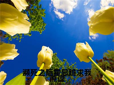 霍北爵苏暖（濒死之际霍总跪求我原谅：结局+番外）全文免费阅读无弹窗大结局_(霍北爵苏暖濒死之际霍总跪求我原谅：结局+番外)最新章节列表_笔趣阁（濒死之际霍总跪求我原谅：结局+番外）