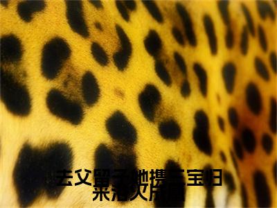 去父留子她携三宝归来浴火成凰奚娆祁狅：结局+番外(奚娆祁狅)全文免费阅读无弹窗大结局_(去父留子她携三宝归来浴火成凰奚娆祁狅：结局+番外)最新章节列表_笔趣阁(奚娆祁狅)
