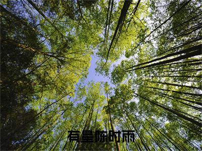 完结文有星陈时雨前文最新章节列表_完结文有星陈时雨前文全文免费阅读（蒋引星陈时雨）