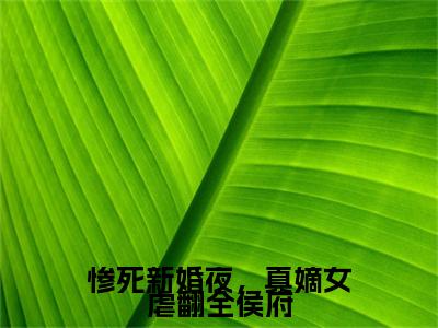 惨死新婚夜，真嫡女虐翻全侯府（文鸯奚衍）全文免费阅读无弹窗大结局_（惨死新婚夜，真嫡女虐翻全侯府免费阅读全文大结局）最新章节列表