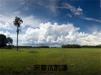宋宴沈酌清（宋宴沈酌清：结局+番外）全文免费阅读无弹窗大结局_(宋宴沈酌清)最新章节列表_笔趣阁（宋宴沈酌清：结局+番外）