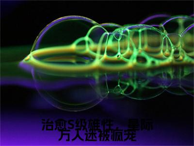 (番外)+(全文)治愈S级雄性，星际万人迷被疯宠易晚：结局+番外(易晚)全文免费阅读无弹窗大结局_(治愈S级雄性，星际万人迷被疯宠易晚：结局+番外)最新章节列表_笔趣阁(易晚)
