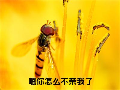 (嗯你怎么不亲我了：结局+番外)书荒宝藏热文必读推荐（苏其羽江寻竹）全文免费阅读无弹窗大结局_(嗯你怎么不亲我了：结局+番外)最新章节列表_笔趣阁（苏其羽江寻竹）
