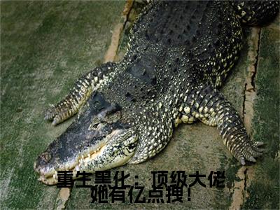 (番外)+(全文)重生黑化：顶级大佬她有亿点拽！：番外+全文+后续（西瑾歌）完整版小说阅读_重生黑化：顶级大佬她有亿点拽！：番外+全文+后续免费阅读_笔趣阁（西瑾歌）