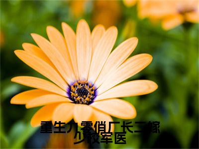 (番外)+(全文)重生九零俏厂长二嫁少校军医：番外+全文+后续（沈稚芸周野）完整版小说阅读_重生九零俏厂长二嫁少校军医：番外+全文+后续免费阅读_笔趣阁（沈稚芸周野）