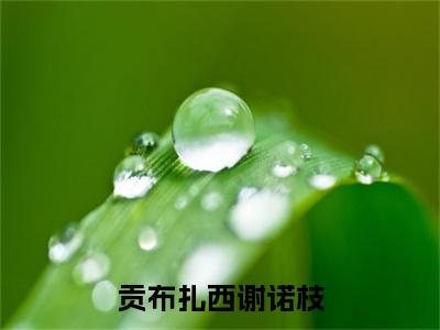 贡布扎西谢诺枝谢诺枝贡布扎西：全文+后续（贡布扎西谢诺枝谢诺枝贡布扎西：全文+后续）全文免费阅读无弹窗大结局_贡布扎西谢诺枝谢诺枝贡布扎西：全文+后续（贡布扎西谢诺枝）最新章节列表_笔趣阁（贡布扎西谢诺枝）