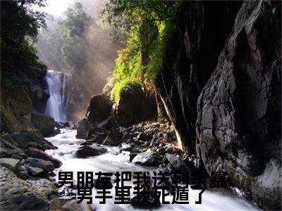 男朋友把我送到家暴男手里我死遁了后续(陈行简江如愿)（男朋友把我送到家暴男手里我死遁了）整本畅享在线+无广告结局