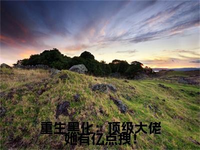 重生黑化：顶级大佬她有亿点拽！小说（西瑾歌）全文免费阅读无弹窗大结局_重生黑化：顶级大佬她有亿点拽！全文免费完结版阅读（西瑾歌）