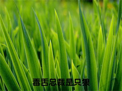 毒舌总裁是只狼小说(楚谨言温璐璐)小说结尾+隐藏篇章（毒舌总裁是只狼楚谨言温璐璐）畅享阅读