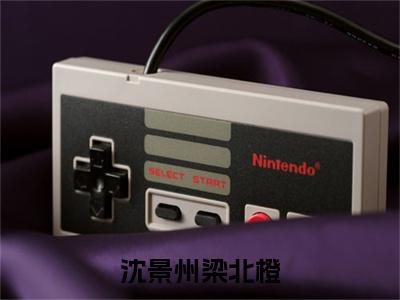 梁北橙沈景州（沈景州梁北橙）完整版小说阅读大结局_梁北橙沈景州（沈景州梁北橙）全文免费阅读笔趣阁