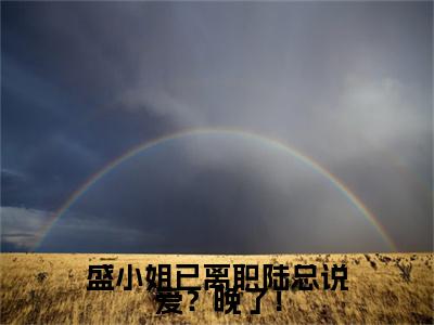 完结篇小说陆霆枭盛眠小说(盛小姐已离职陆总说爱？晚了！)已更新+无删减（陆霆枭盛眠）无广告