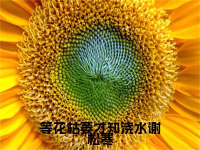 热门小说纪瑾月谢松寒等花枯萎才知浇水谢松寒全文免费阅读无弹窗大结局-纪瑾月谢松寒全文无弹窗免费阅读大结局