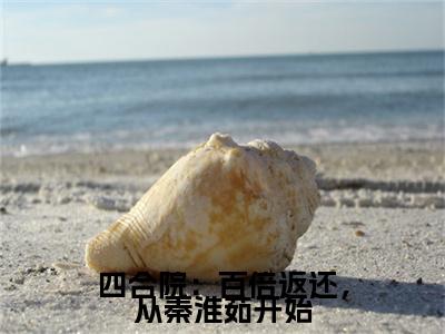 秦淮茹陆成四合院：百倍返还，从秦淮茹开始小说（四合院：百倍返还，从秦淮茹开始）前传+全书阅读新作预览