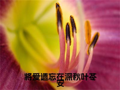 将爱遗忘在深秋叶苓安结局+番外+结局（叶苓安叶苓安）全文免费阅读无弹窗大结局_将爱遗忘在深秋叶苓安：结局+番外免费阅读最新章节列表_笔趣阁（将爱遗忘在深秋叶苓安结局+番外）