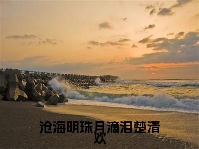 裴云泽楚清欢：结局+番外(沧海明珠月滴泪楚清欢：结局+番外小说)全文免费阅读无弹窗大结局_ 裴云泽楚清欢：结局+番外全文免费阅读小说沧海明珠月滴泪楚清欢：结局+番外全文免费阅读最新章节列表_笔趣阁（裴云泽楚清欢：结局+番外小说）