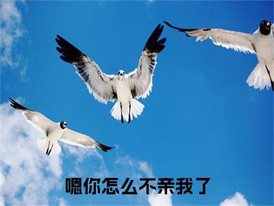 （苏其羽江寻竹）是什么小说-（嗯你怎么不亲我了）全文免费阅读无弹窗大结局（苏其羽江寻竹）最新章节列表