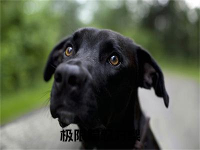 (陈屿川方梨:结局+番外)结局番外（极限隐忍方梨）全文免费阅读无弹窗大结局_(陈屿川方梨:结局+番外)最新章节列表_笔趣阁（极限隐忍方梨）