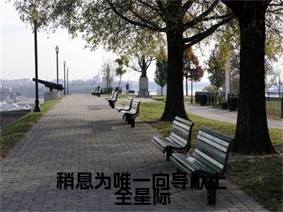 (番外)+(全文)路枝枝：番外+全文+后续（稍息为唯一向导献上全星际）完整版小说阅读_路枝枝：番外+全文+后续免费阅读_笔趣阁（稍息为唯一向导献上全星际）