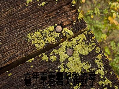 孟芷渝江幼熙傅迟叙（六年青春最隐秘的爱意，不会有人听到了）全文免费阅读无弹窗大结局_（孟芷渝江幼熙傅迟叙免费阅读）六年青春最隐秘的爱意，不会有人听到了无弹窗最新章节列表