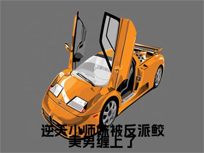 逆天小师妹被反派鲛美男缠上了云轻语：结局+番外（云轻语）全文免费阅读无弹窗大结局_(逆天小师妹被反派鲛美男缠上了云轻语：结局+番外)最新章节列表_笔趣阁（云轻语）