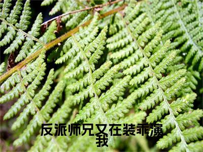 反派师兄又在装乖演我（黎枝戚远辞）全文免费读无弹窗大结局_（黎枝戚远辞免费小说）反派师兄又在装乖演我无弹窗最新章节列表