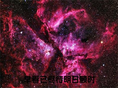 叶清顾时在线阅读（早春已尽待明日顾时小说）全文免费阅读无弹窗大结局_早春已尽待明日顾时免费最新章节列表